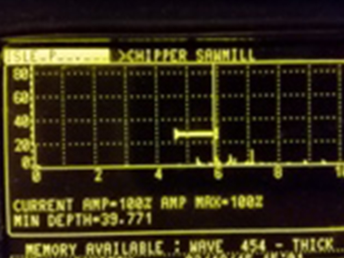 ultrasonic scan thumbnail