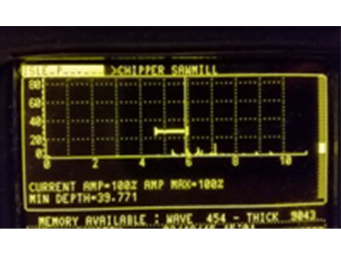 ultrasonic scan